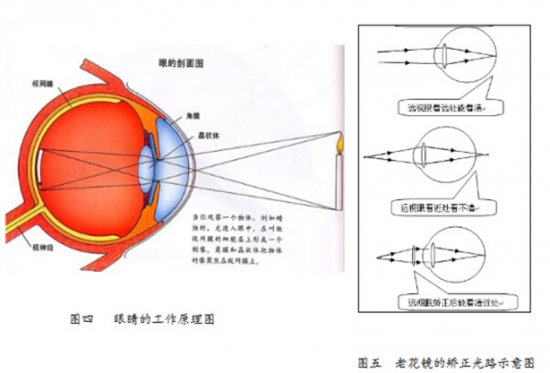 美麗島眼鏡：老花鏡不可隨意亂帶，需要在專(zhuān)業(yè)驗(yàn)光后科學(xué)配制