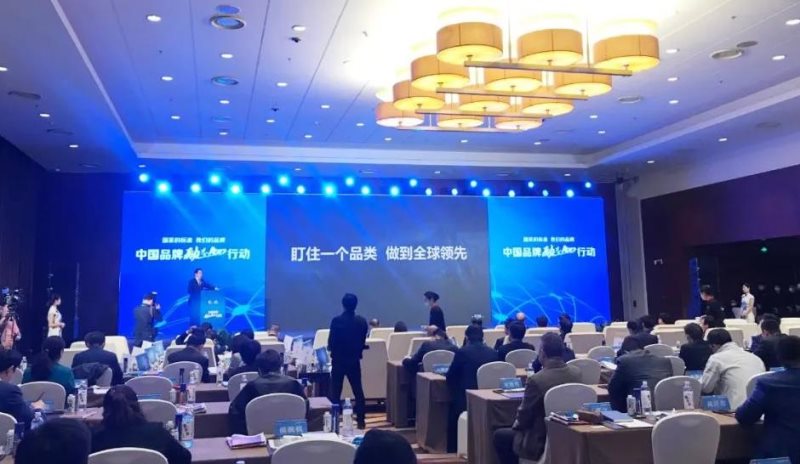 定了！美麗島進(jìn)了國家隊，新華社專訪